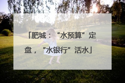 肥城：“水预算”定盘，“水银行”活水