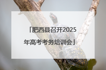 肥西县召开2025年高考考务培训会