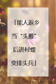 能人返乡当“头雁” 后进村蝶变排头兵