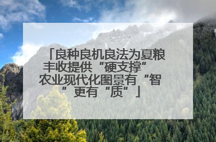 良种良机良法为夏粮丰收提供“硬支撑” 农业现代化图景有“智”更有“质”