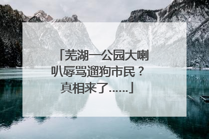芜湖一公园大喇叭辱骂遛狗市民？真相来了……