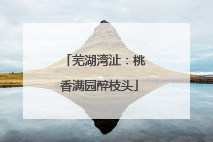芜湖湾沚：桃香满园醉枝头