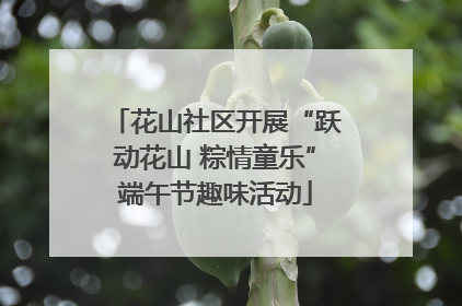 花山社区开展“跃动花山 粽情童乐”端午节趣味活动