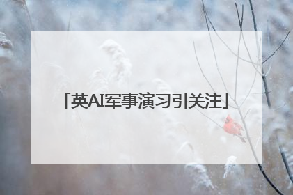 英AI军事演习引关注