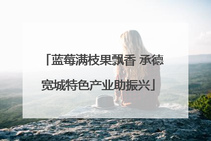 蓝莓满枝果飘香 承德宽城特色产业助振兴
