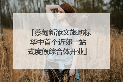蔡甸新添文旅地标 华中首个近郊一站式度假综合体开业