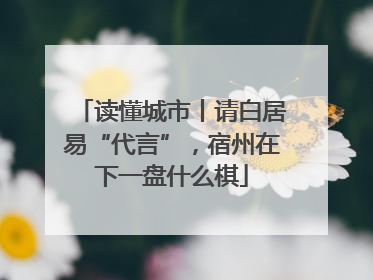 读懂城市丨请白居易“代言”，宿州在下一盘什么棋