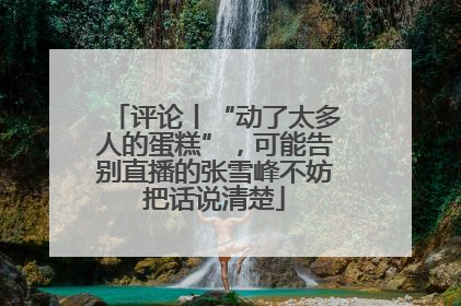 评论丨“动了太多人的蛋糕”，可能告别直播的张雪峰不妨把话说清楚