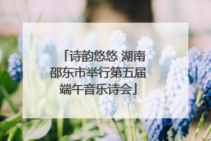诗韵悠悠 湖南邵东市举行第五届端午音乐诗会
