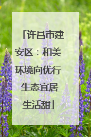 许昌市建安区：和美环境向优行 生态宜居生活甜