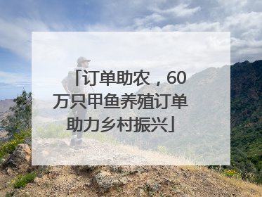 订单助农，60万只甲鱼养殖订单助力乡村振兴