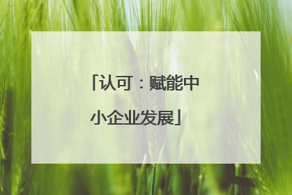 认可：赋能中小企业发展