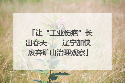 让“工业伤疤”长出春天——辽宁加快废弃矿山治理观察
