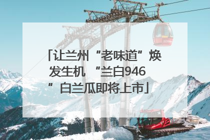 让兰州“老味道”焕发生机 “兰白946”白兰瓜即将上市