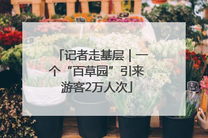 记者走基层｜一个“百草园”引来游客2万人次