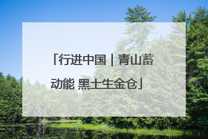 行进中国｜青山蓄动能 黑土生金仓