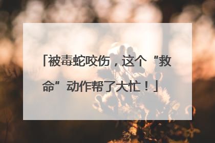 被毒蛇咬伤，这个“救命”动作帮了大忙！