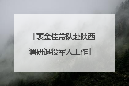 裴金佳带队赴陕西调研退役军人工作