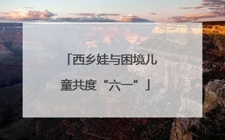 西乡娃与困境儿童共度“六一”