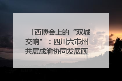 西博会上的“双城交响”：四川六市州共展成渝协同发展画卷｜西博视界