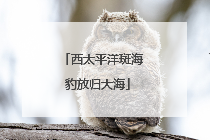 西太平洋斑海豹放归大海