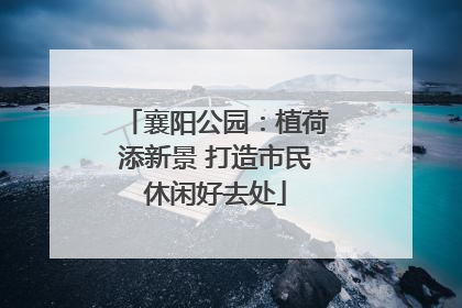 襄阳公园：植荷添新景 打造市民休闲好去处