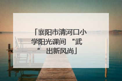 襄阳市清河口小学阳光课间 “武” 出新风尚