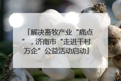 解决畜牧产业“痛点”，济南市“走进千村万企”公益活动启动