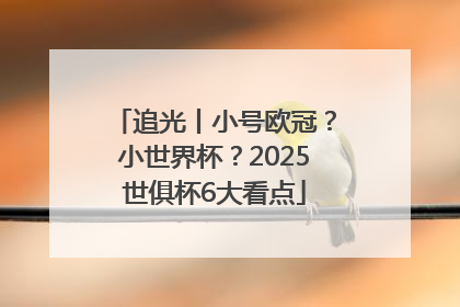 追光丨小号欧冠？小世界杯？2025世俱杯6大看点