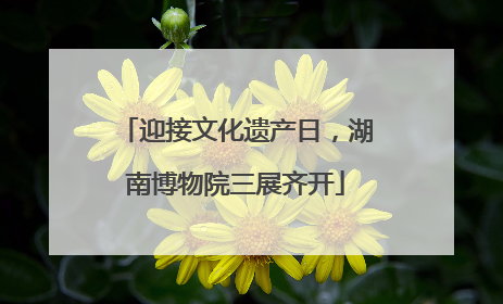 迎接文化遗产日，湖南博物院三展齐开