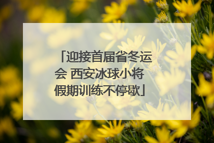 迎接首届省冬运会 西安冰球小将假期训练不停歇