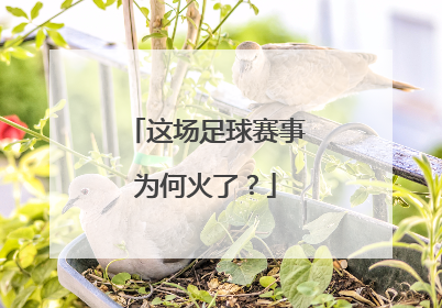 这场足球赛事为何火了？