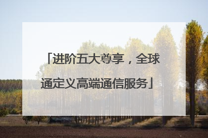 进阶五大尊享，全球通定义高端通信服务