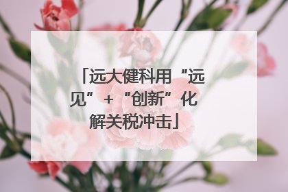 远大健科用“远见”+“创新”化解关税冲击
