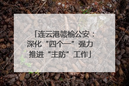 连云港赣榆公安：深化“四个一”强力推进“主防”工作