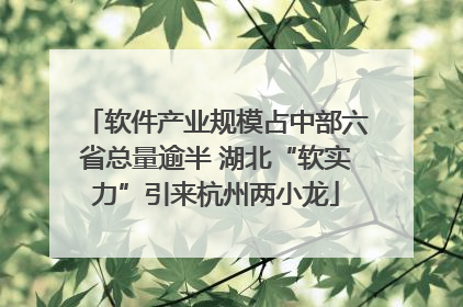 软件产业规模占中部六省总量逾半 湖北“软实力”引来杭州两小龙