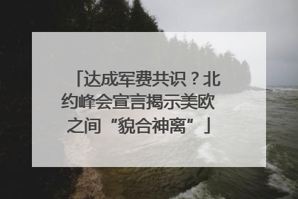 达成军费共识？北约峰会宣言揭示美欧之间“貌合神离”