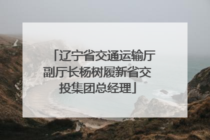 辽宁省交通运输厅副厅长杨树履新省交投集团总经理