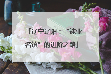 辽宁辽阳：“袜业名镇”的进阶之路