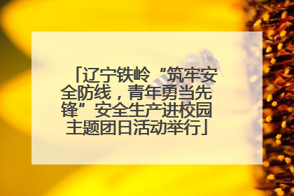 辽宁铁岭“筑牢安全防线，青年勇当先锋”安全生产进校园主题团日活动举行