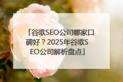 谷歌SEO公司哪家口碑好？2025年谷歌SEO公司解析盘点
