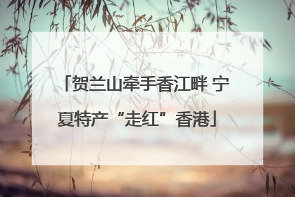 贺兰山牵手香江畔 宁夏特产“走红”香港