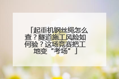 起重机钢丝绳怎么查？隧道施工风险如何验？这场竞赛把工地变“考场”