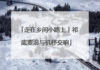 走在乡间小路上丨祁底麦浪与机杼交响