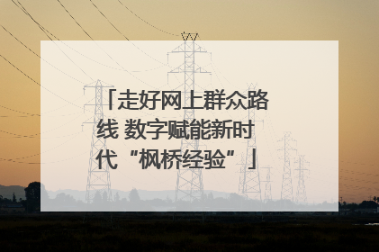 走好网上群众路线 数字赋能新时代“枫桥经验”