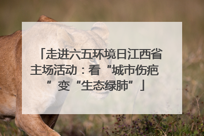 走进六五环境日江西省主场活动：看“城市伤疤”变“生态绿肺”