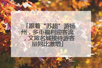 跟着“苏超”游扬州，多重福利迎客流，文旅名城接待游客量同比激增
