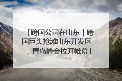 跨国公司在山东｜跨国巨头抢滩山东开发区，青岛峰会拉开帷幕