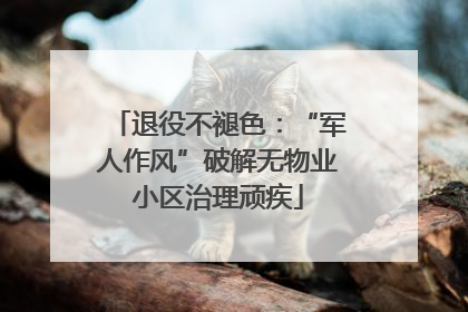 退役不褪色：“军人作风”破解无物业小区治理顽疾