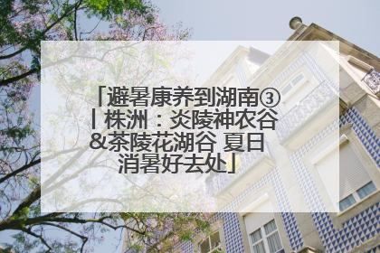 避暑康养到湖南③丨株洲：炎陵神农谷&茶陵花湖谷 夏日消暑好去处